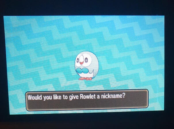 Shiny Rowlet for the start of my Ultra Moon Shiny Trial Quest, after 6363 resets